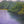 Where the River Whispers
