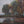 “Where the River Remembers, framed original oil painting of a river landscape with trees and distant scenery.”