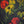 Close-up of the red and golden-yellow flowers in the Where the Garden Keeps Its Secrets painting
